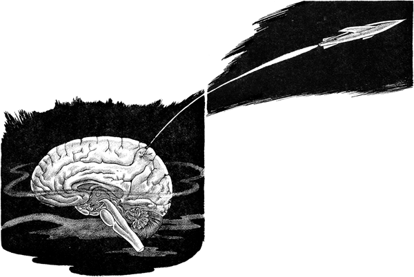 mr_spaceship-illo1.png