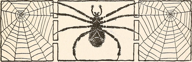 spider.jpg spider.jpg
